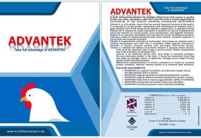 ADVANTEK