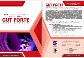 GUT FORT