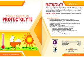 PROTECTOLYTE