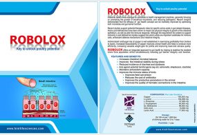 ROBOLOX