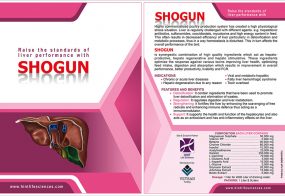 SHOGUN