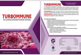 TURBOMMUNE